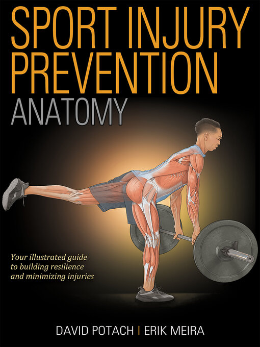 Title details for Sport Injury Prevention Anatomy by David Potach - Available